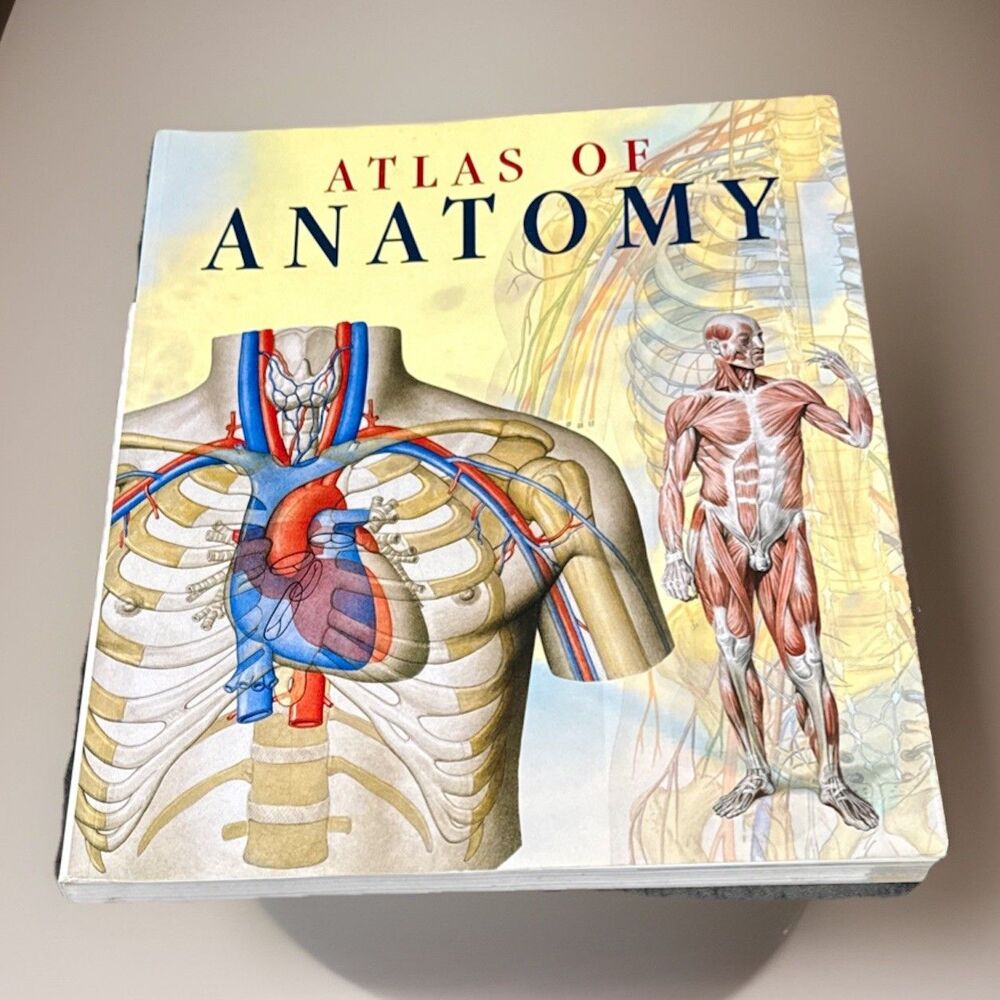 Atlas of Human Anatomy (2006, Paperback)